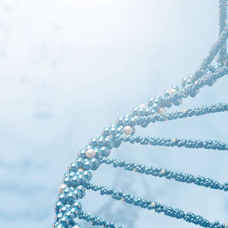 EXOSOME-XO-FACIAL-1280x495